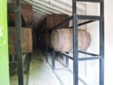 Tequila aging in old, old barrels